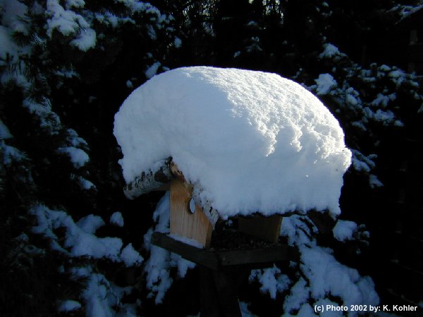 Ein "Dach aus Schnee" fr unser Vogelhuschen!
